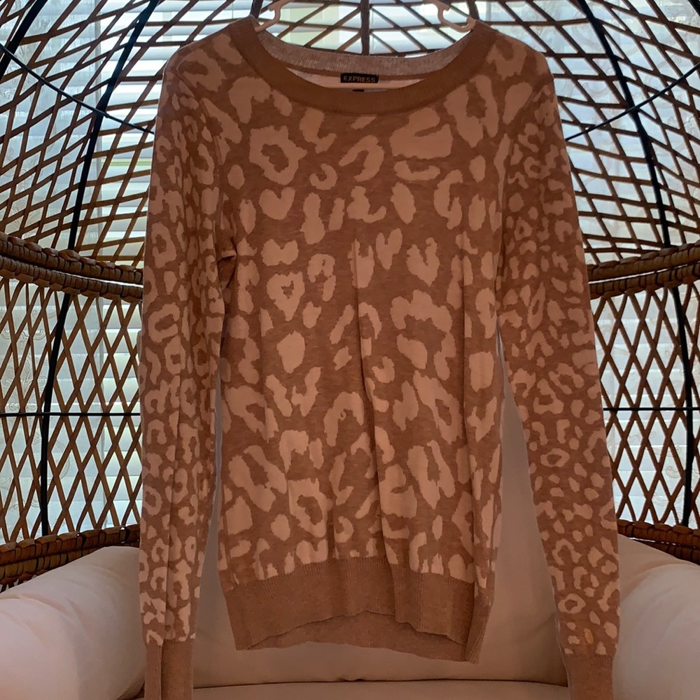 EXPRESS Leopard sweater